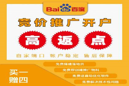 百度SEO推广策略调整：一个成功的调整案例